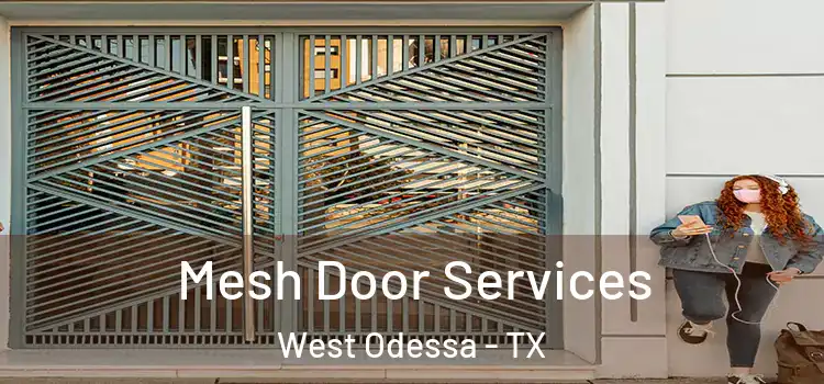 Mesh Door Services West Odessa - TX